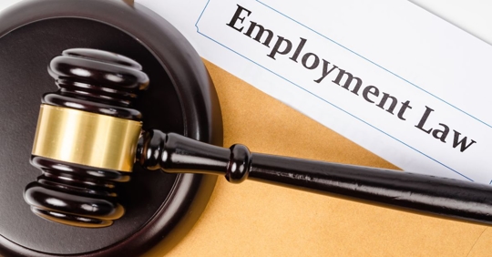 employment law